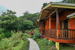 比加瓜Heliconias Rainforest Lodge的一座木房子,旁边设有一条小径