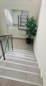 巴特亚姆Motel Hofim的带有盆栽和楼梯的楼梯间