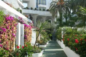 马贝拉Marbella Center Beachfront with Private Patio的相册照片