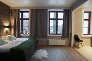 罗瓦涅米Hotel Metsähirvas的一间卧室设有一张床和两个窗户。