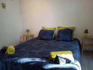 佩尔蒂Appartement L'Atypique的一间卧室配有一张带蓝色床单和黄色枕头的床。