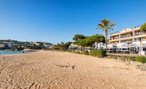 桑特费柳德吉克索尔斯圣普尔酒店及餐厅的一片拥有建筑和棕榈树的沙滩