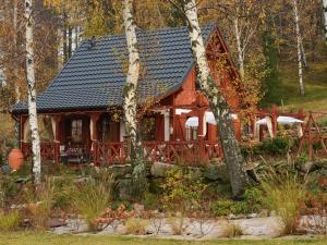 普热谢卡Domek w Karkonoszach的树林里的一个红色小屋