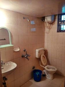 巴加Bijou Guest House的一间带卫生间和水槽的浴室