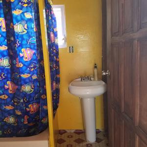 霍普金斯Palmento Grove Garifuna Eco-Cultural & Healing Institute的一间带水槽和淋浴帘的浴室