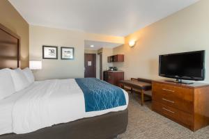 塔瓦雷斯Comfort Inn & Suites Tavares North的配有一张床和一台平面电视的酒店客房