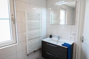 霍勒姆De Nagtegaal的一间带水槽和镜子的浴室