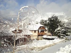 圣卡洛斯-德巴里洛切阿勒劳克恩简易别墅套房酒店的前面的雪覆盖的房子