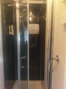 普里茅斯加勒里旅馆 的浴室里设有玻璃门淋浴