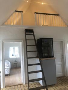 斯坎讷堡Boes Bed & Breakfast的客房设有一张双层床和带微波炉的梯子