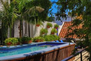 圣玛尔塔卡萨伊莎贝拉，卡利酒店的 ⁇ 上植物的游泳池