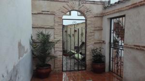 托莱多La Casa De Las Abuelas的一座建筑的入口,建筑有铁门和盆栽植物