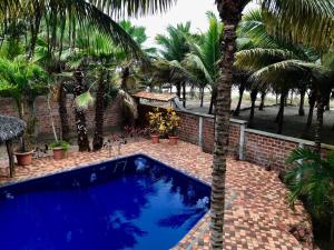 卡诺阿CanoaOasis的棕榈树庭院中的蓝色游泳池