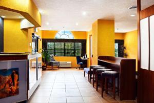 新布朗费尔斯Microtel Inn & Suites by Wyndham New Braunfels I-35的一间黄色墙壁的餐厅以及一个带凳子的酒吧