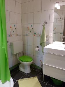SavièseLes Mouresses的浴室配有绿色卫生间和水槽。