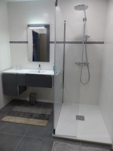 ChâteauvieuxLa maison de Joëlle的浴室配有盥洗盆和带镜子的淋浴