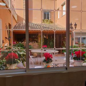 拉帕尔马拉波萨达酒店的享有庭院美景的窗户,种植了盆栽植物