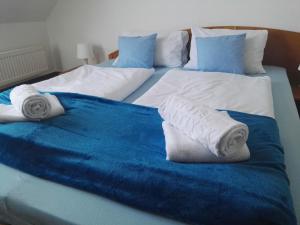 塞尔纳珀苏马维Hotel Jestřábí的两张床,配有蓝色和白色的床单和毛巾