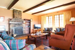 德尔斯特鲁姆Connemara Trout Lodge的带沙发和壁炉的客厅