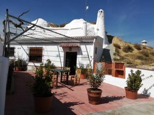 瓜迪克斯Cueva Tradicional El capricho的前面有盆栽植物的白色房子
