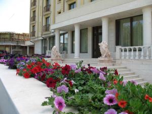 克勒拉希赫斯提亚酒店的建筑物前的一排鲜花