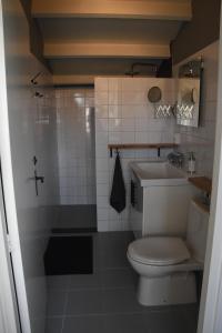 博克斯特尔Buitenuit的一间带卫生间和水槽的浴室