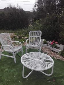 圣特雷莎加卢拉Azienda Agricola Li Nalboni的草坪上摆放了两把椅子、一张桌子和两把椅子