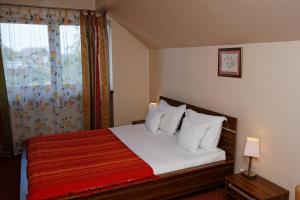 布拉索夫斯特杰李斯旅馆的一间卧室配有一张带白色床单的床和一扇窗户。