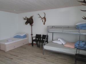 KihelkonnaKihelkonna Jahimaja majutus的卧室配有两张双层床,墙上挂着鹿角