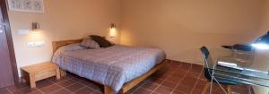 托尔托萨托雷德尔普莱尔酒店的一间小卧室,配有一张床和一张书桌