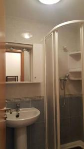 萨莫拉Piso en la ruta del Románico的浴室配有盥洗盆和带镜子的淋浴