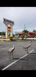 皮尔斯堡Sunset Inn- Fort Pierce, FL的相册照片