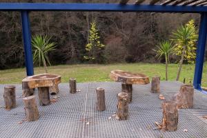 梅桑弗里乌Quinta São José - Museu do Triciclo的两把木凳子,坐在树冠下