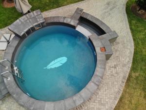 奥茨胡恩费瑟贝德酒店 - 奥茨胡恩的水中鱼的游泳池
