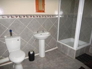 VryburgHanekraai B&B的浴室配有卫生间、盥洗盆和淋浴。