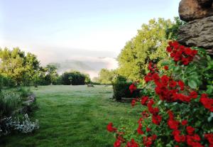 Mirandol-Bourgnounac爱之井住宿加早餐旅馆的田野里种着红色花的花园