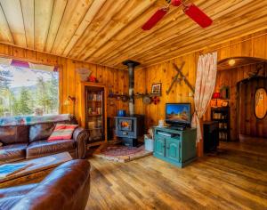 莱德维尔Buckeye's Cabin的带沙发、电视和炉灶的客厅