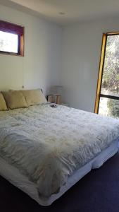 基督城Tranquil Treehouse的卧室内的一张大床,设有窗户