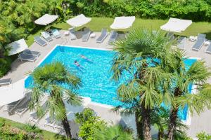 加尔达湖滨威尼斯酒店的享有棕榈树游泳池的顶部景致