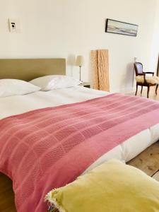 吕伐登GUESTHOUSE UIT DE KUNST的一间卧室配有一张带粉色和白色毯子的床