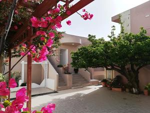 库基尼坎尼奥Evina Rooms & Suites的一座庭院,里面种有粉红色的花朵,设有楼梯