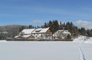 诺伊赖歇瑙Der Bauernhof Beim Bergler的雪地里的房子,靠近雪地