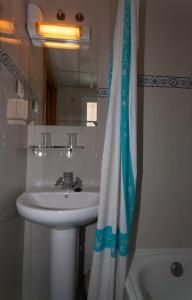 埃纳雷斯河畔圣费尔南多高迈亚II旅馆的一间带水槽和淋浴帘的浴室