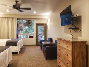 斯普林代尔Driftwood Lodge的配有一张床和一台平面电视的酒店客房