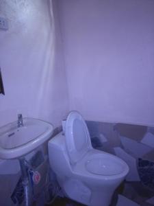 隆宏观旅舍的浴室配有白色卫生间和盥洗盆。