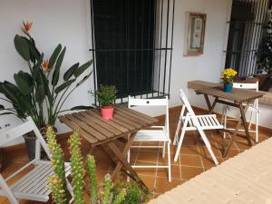 埃尔罗西奥Alojamiento Rural Flamingo的庭院设有两把桌子和椅子以及盆栽植物