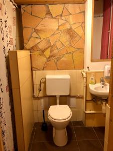 布达佩斯回力棒青年旅社的一间带卫生间和水槽的浴室
