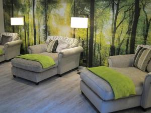 蒂蒂湖-新城巴朗蒂蒂湖酒店的客厅配有两张沙发和森林壁画