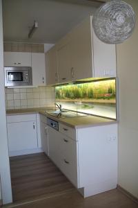 施卢赫湖Apartment Schluchsee的厨房配有白色橱柜和带窗户的柜台。