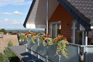 尼德根Hotel Haus Seeblick的阳台上放着花盒的房子